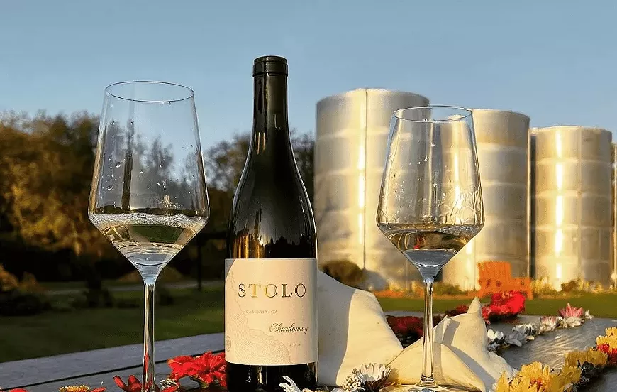 stolo.webp