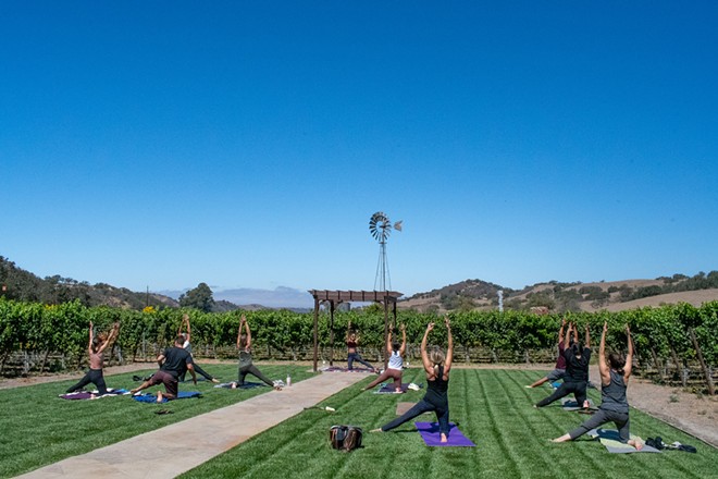 People practicing yoga on the Vineyard Lawn