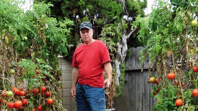Image: Zoom Program: How to Grow Tomatoes Easily with Dave Freed