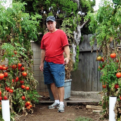 "Dave the Tomato Guy" with some of his tomato plants